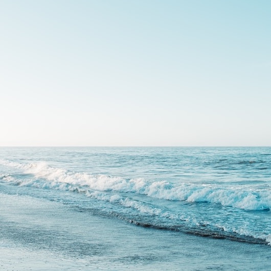 かねふく福袋2026の中身ネタバレ！予約開始や購入方法も！