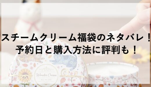 スチームクリーム福袋2026のネタバレ！予約日と購入方法に評判も！
