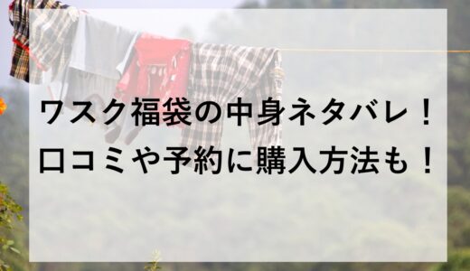 ワスク福袋2026の中身ネタバレ！口コミや予約に購入方法も！