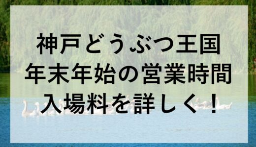 神戸どうぶつ王国の年末年始2025~2026の営業時間と入場料を詳しく！