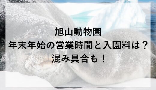 旭山動物園の年末年始2025~2026の営業時間と入園料は？混み具合も！