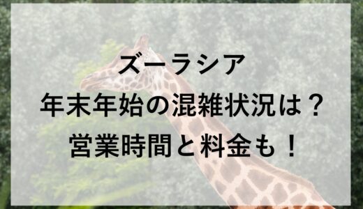 ズーラシア年末年始2025~2026の混雑状況は？営業時間と料金も！