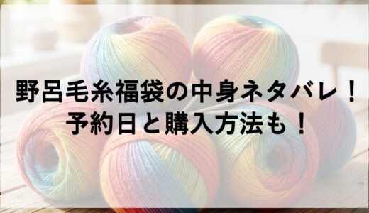野呂毛糸福袋2026の中身ネタバレ！予約日と購入方法も！