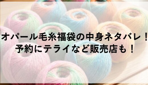オパール毛糸福袋2026の中身ネタバレ！予約にテライなど販売店も！